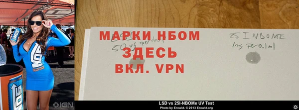 ECSTASY Бородино