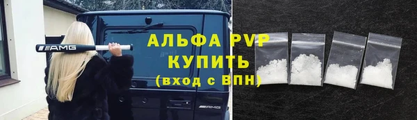 ECSTASY Бородино