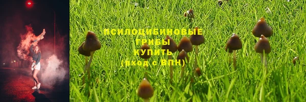 ECSTASY Бородино
