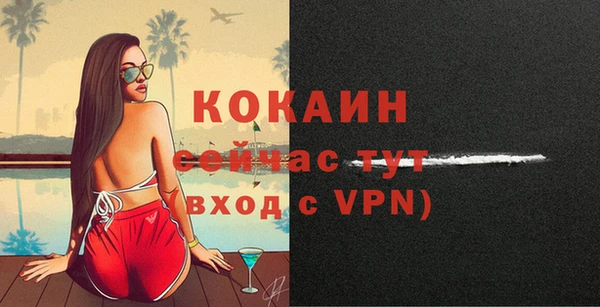 ECSTASY Бородино