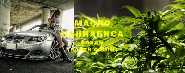ECSTASY Бородино