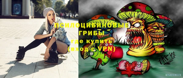 apvp Бугульма
