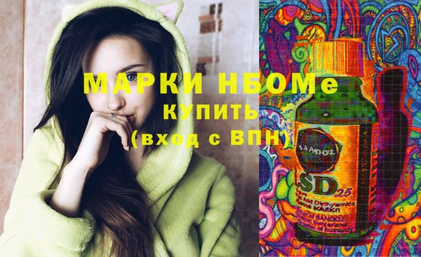 хмурый Бронницы