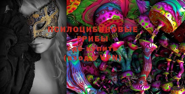 хмурый Бронницы
