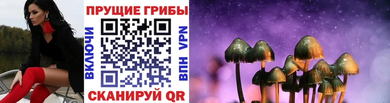 Галлюциногенные грибы мицелий Видное